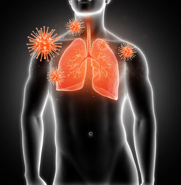 Anatomy illustration of torso with glowing lungs and virus particles