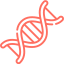 DNA double helix strand