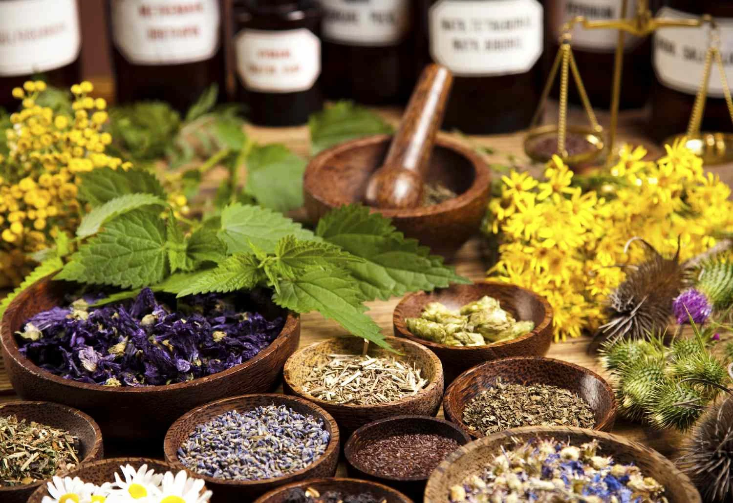 Dried herbs and mortar on rustic wooden table.