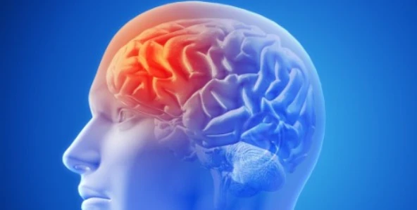 Profile head with brain activity highlighted in red and blue