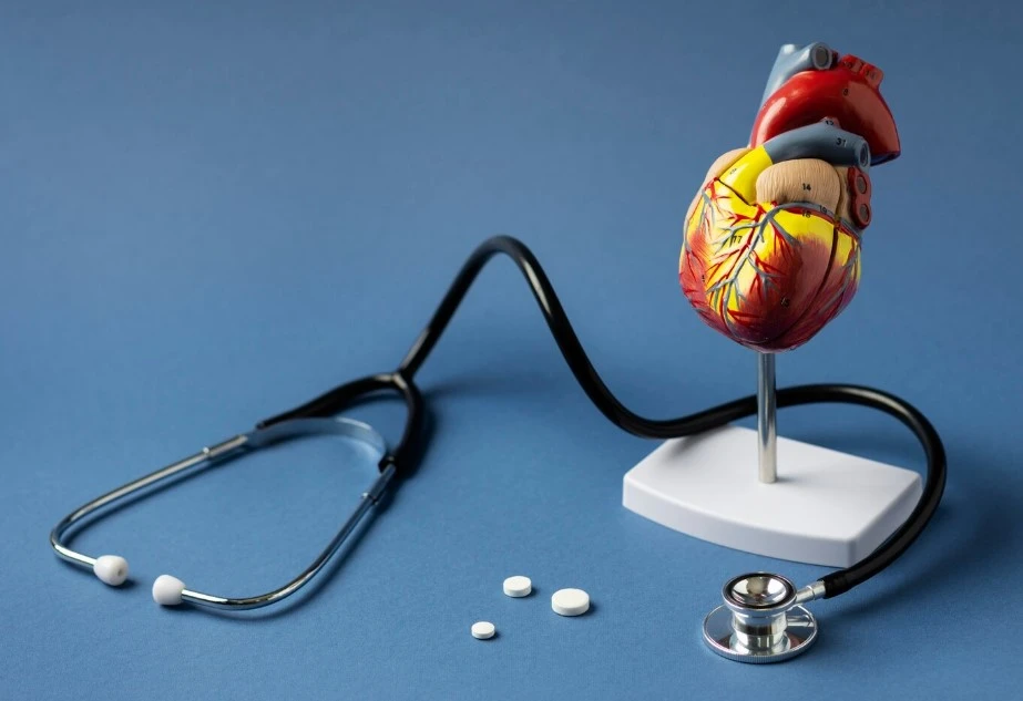 Heart model with stethoscope and pills