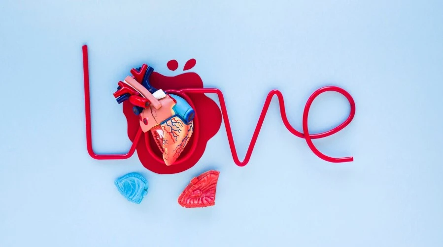 Love word made with cord and heart model