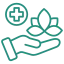 Hand holding medical plant