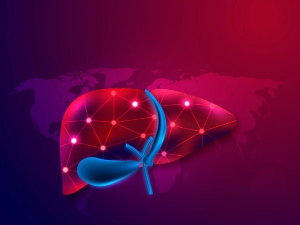 Digital liver illustration with network pattern and world map