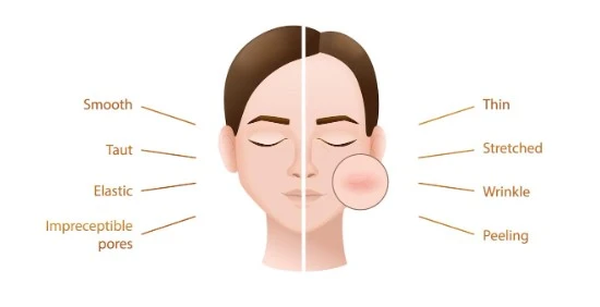 Split face showing healthy and damaged skin comparison